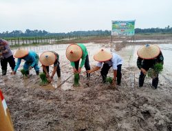 Mhd Fadhil Arief Perdana Tanam Padi di Persawahan di kecamatan Batin XXIV