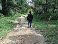 Masyarakat Butuh Akses Mobilitas jalan Yang Lancar