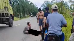 Na’as Nasib warga Simpang Aurgading masih kelas 1 SD, tertabrak Truck Batu Bara