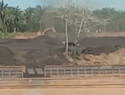 Miris!…Terkait Pencemaran Lingkungan, Perusahaan PT BHJ/PDN, Tidak Ada Tanggapan serius dari Dinas LH Batanghari