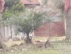Di duga Gudang BBM ilegal Milik HD Di kota Baru Masih Beroperasi