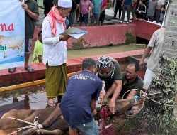 Berbagi Kebahagiaan Momen Idul Adha 1446 H, Lapas Kelas IIA Jambi Kurbankan 9 Sapi dan 3 Kambing