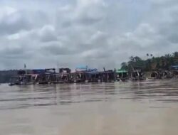 Aktivitas Pertambangan Emas Tanpa Izin (PETI) di Kabupaten Tebo, Jambi kembali menjadi sorotan