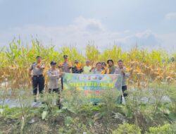Polsek VII Koto Ilir Gelar Kegiatan Panen Jagung Kuartal II Tahun 2026