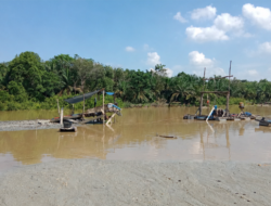 PETI di Pematang Gadung Kian Menjamur, Warga Soroti Kerusakan Lingkungan dan Minta Aparat Bertindak