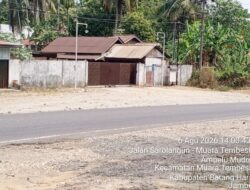 Legalitas Bahan Baku PT GNL Dipertanyakan, Truk Diduga Angkut Kayu Alam Masuk ke Area Pabrik