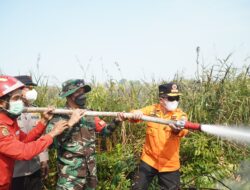 Danrem 042/Gapu Bersama Gubernur dan Kapolda Jambi Padamkan Karhutla Di Kabupaten Tanjab Timur