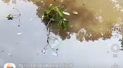 Diduga Limbah Pabrik BSU Mengarah ke Unit 13 dan 14, Warga Bahar Soroti Kematian Ikan