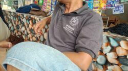 Diduga Diputus Tanpa Pemberitahuan, Warga Suka Ramai Keluhkan Aliran Listrik Dipadamkan